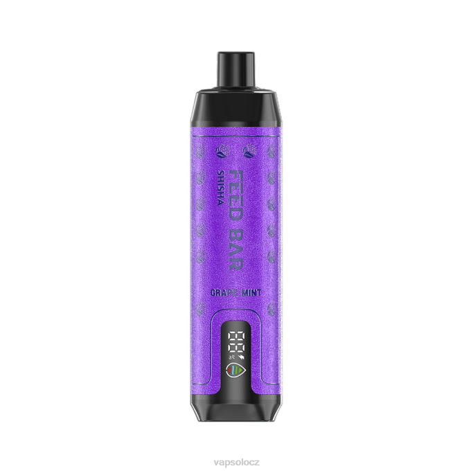 VapSolo CZ - hroznová máta VapSolo SHISHA jednorázová vapa VLFJ6